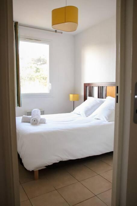 Apartment T3 Dans Avec Piscine